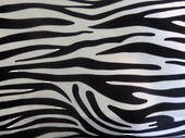 Fashionista cotton sateen, Large Zebra