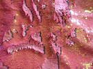 Mermaid Sequins - Pink