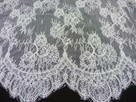 Pippa Corded Chantilly Lace