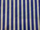 Fashionista cotton sateen, Blue & White Stripe